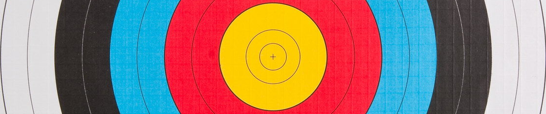 World Archery 40cm Indoor Target